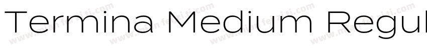 Termina Medium Regular字体转换